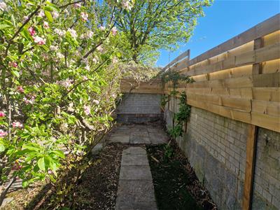 Picture 27